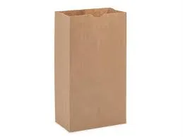 Brown Paper Lunch Bags, Paper Grocery Bags, Durable Kraft Paper Bags 10lb 100 Pack-  These multipurpose bags can hold canned foods, sandwiches and just about anything - 43100001004