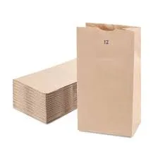 Brown Paper Lunch Bags, Paper Grocery Bags, Durable Kraft Paper Bags 10lb 100 Pack-  These multipurpose bags can hold canned foods, sandwiches and just about anything - 43100001004