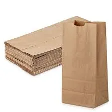 Brown Paper Lunch Bags, Paper Grocery Bags, Durable Kraft Paper Bags 10lb 100 Pack-  These multipurpose bags can hold canned foods, sandwiches and just about anything - 43100001004