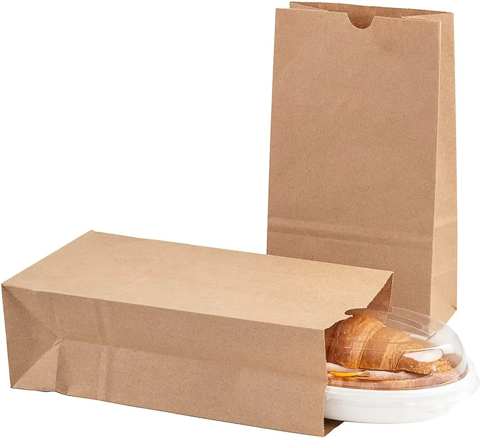 Brown Paper Lunch Bags, Paper Grocery Bags, Durable Kraft Paper Bags 10lb 100 Pack-  These multipurpose bags can hold canned foods, sandwiches and just about anything - 43100001004