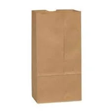 Brown Paper Lunch Bags, Paper Grocery Bags, Durable Kraft Paper Bags 10lb 100 Pack-  These multipurpose bags can hold canned foods, sandwiches and just about anything - 43100001004