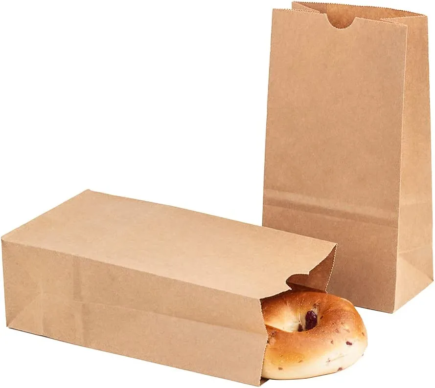 Brown Paper Lunch Bags, Paper Grocery Bags, Durable Kraft Paper Bags 10lb 100 Pack-  These multipurpose bags can hold canned foods, sandwiches and just about anything - 43100001004