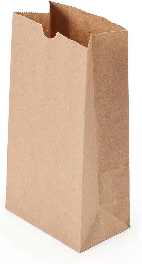 Brown Paper Lunch Bags, Paper Grocery Bags, Durable Kraft Paper Bags 10lb 100 Pack-  These multipurpose bags can hold canned foods, sandwiches and just about anything - 43100001004