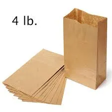 Brown Paper Lunch Bags, Paper Grocery Bags, Durable Kraft Paper Bags 10lb 100 Pack-  These multipurpose bags can hold canned foods, sandwiches and just about anything - 43100001004