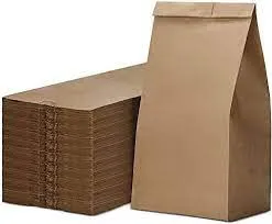 Brown Paper Lunch Bags, Paper Grocery Bags, Durable Kraft Paper Bags 10lb 100 Pack-  These multipurpose bags can hold canned foods, sandwiches and just about anything - 43100001004