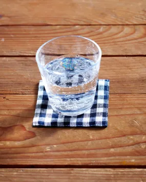 Coasters: Navy White Check