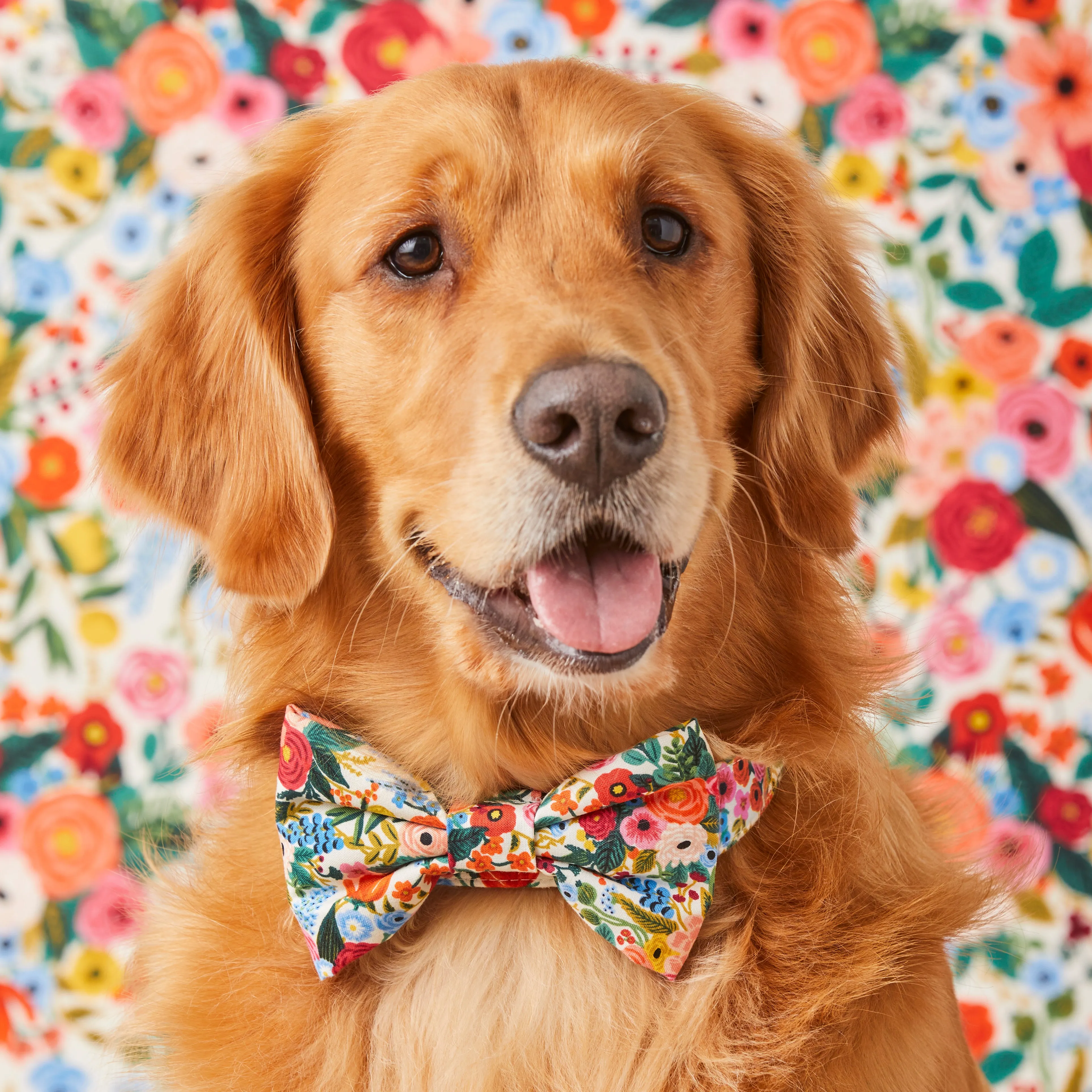 Rifle Paper Co. x TFD Garden Party Dog Bow Tie