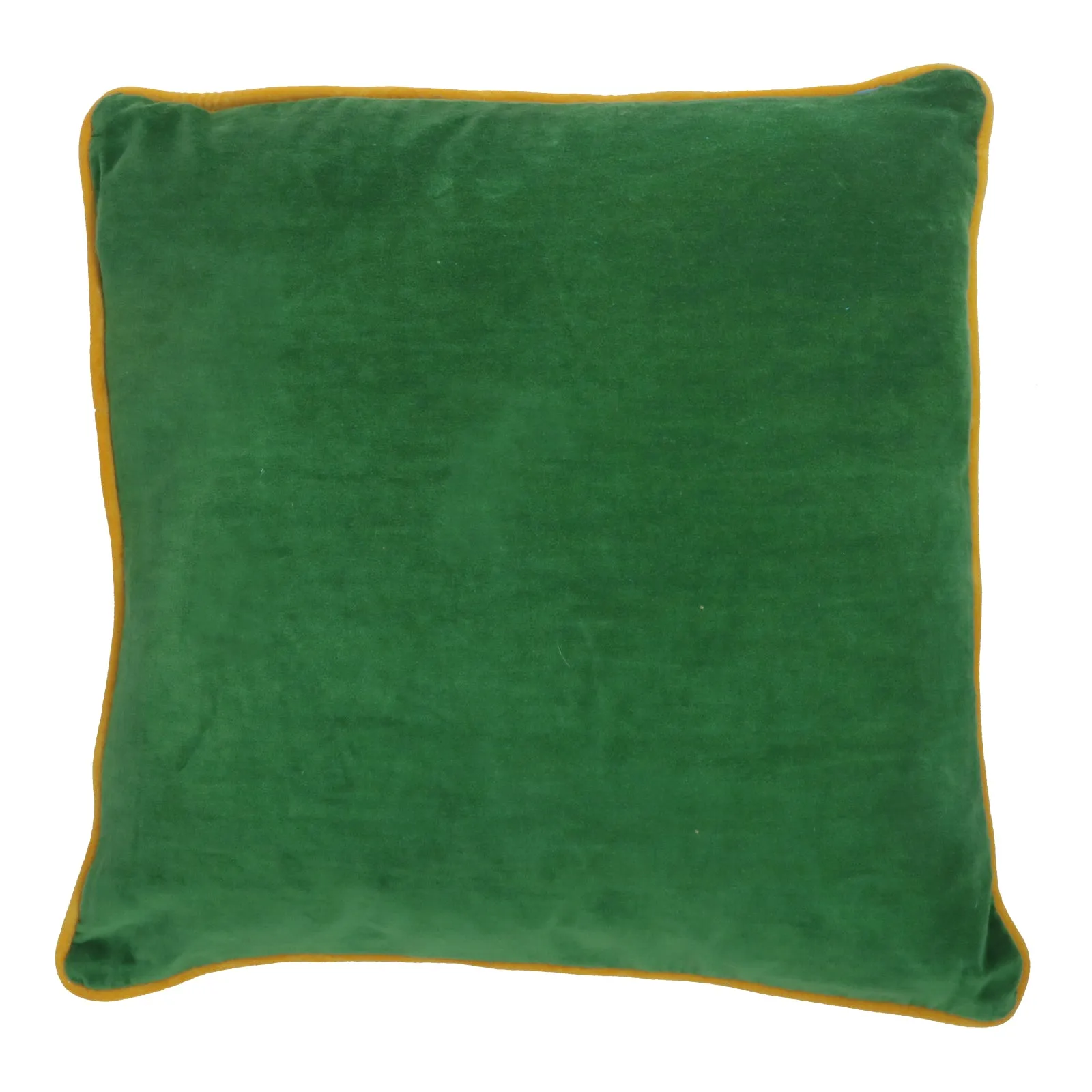 Velvet cushion in blue one side and green the reverse.